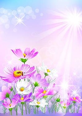 精美花紋背景EPS