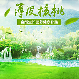 薄皮核桃食品淘寶電商美食直通車主圖