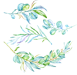 水彩樹(shù)葉插畫(huà)