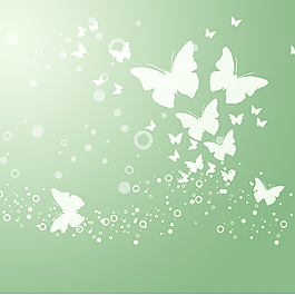 清晰绿色蝴蝶背景图