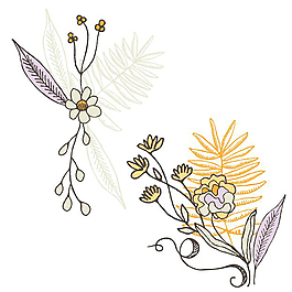 花邊素材元素