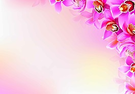 紫色花朵花邊