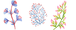 清新彩鉛花卉花朵