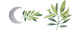 水彩樹(shù)葉素材