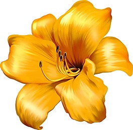 黃色寫實(shí)花朵