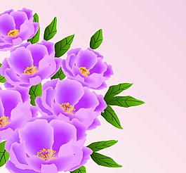 紫色花朵植物素材