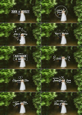 小清新婚礼主题标签素材AE模板