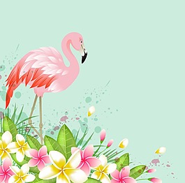 雞蛋花背景