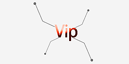 vip線條元素