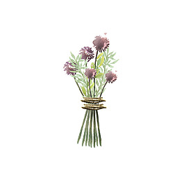 花紋花卉花邊元素