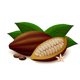 可可豆漫畫圖片