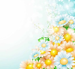 唯美菊花背景
