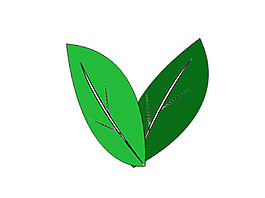 茶葉