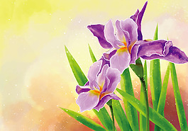 唯美彩鉛花卉蘭花背景素材