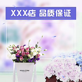 素材主圖淘寶紫色鮮花