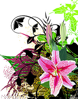 植物葉子花卉圖案