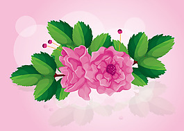 唯美夢(mèng)幻玫瑰花
