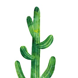 仙人掌