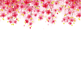 粉色花朵