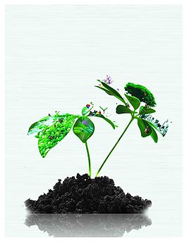 摳圖綠色植物