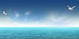 蓝色大海上白鸽飞翔背景图