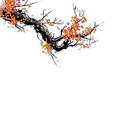 手繪臘梅