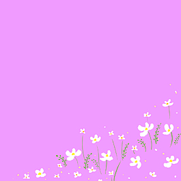 小白花