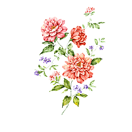 手繪紅色花朵