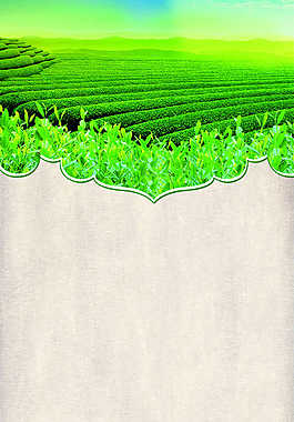 茶園展架素材