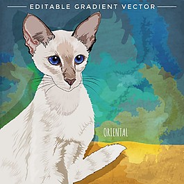 白色小猫漫画图片