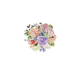 手捧花纯色白背景