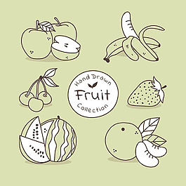 手繪線條風格水果插圖