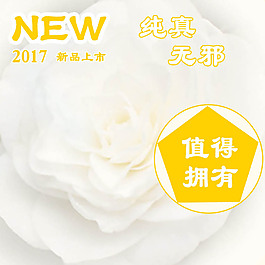 新品上市淘寶產(chǎn)品主圖模板素材
