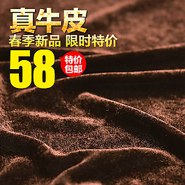 真皮毛絨淘寶產品主圖模板素材