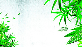 唯美竹子背景圖