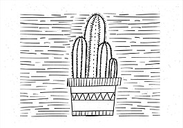 手绘仙人掌插画
