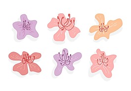 杜鵑花卉矢量素材
