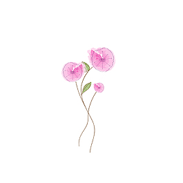 手繪粉色小花朵