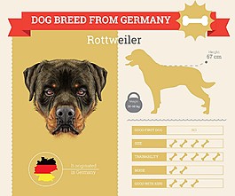 棕色狗信息圖表圖片