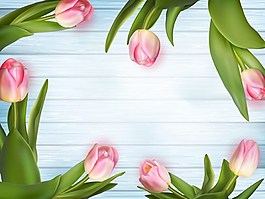 郁金香背景素材