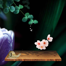 清新植物主圖模板免費(fèi)下載