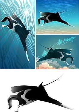 卡通海洋生物