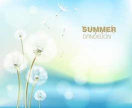 蒲公英背景素材