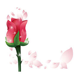 紅色玫瑰花元素