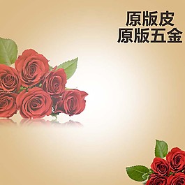玫瑰背景产品主图