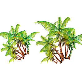 热带植物