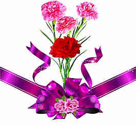 玫瑰花絲帶捧花高光素材