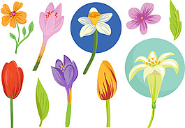 矢量手繪花卉花朵