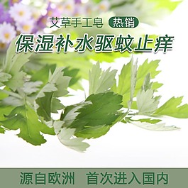 清爽鮮花清新主圖背景圖片