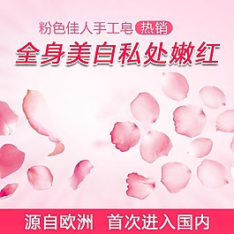 粉色花瓣促銷活動化妝品清新主圖